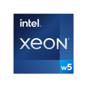INTEL BX807132465X Server Processors