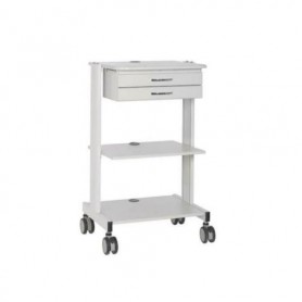 Eaton WWSS2DWSTAA Mobile Workstation 2 Drawers Compatible Tripp Lite