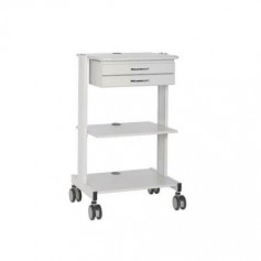 Eaton WWSS2DWSTAA Mobile Workstation 2 Drawers Compatible Tripp Lite