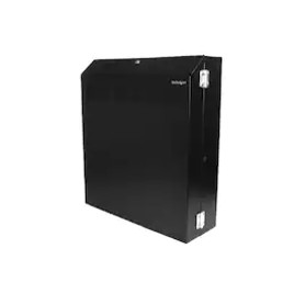 Wall-Mount Server Rack with Dual Fans and Lock - 4U