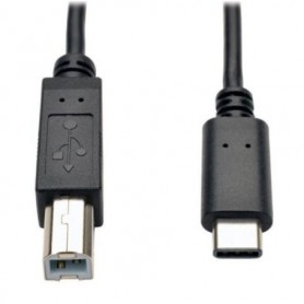 Eaton U040-006 Tripp Lite USB-C to USB-B Cable USB 2.0 M M 6 ft