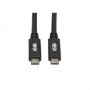 Eaton U420-20N-G2-5A Tripp Lite USB-C to USB-C 100W Cable