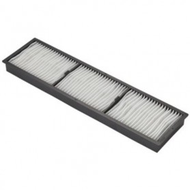 Epson&nbsp;V13H134A46 Replacement projector Air Filter (ELPAF46)