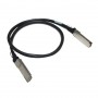 Ruckus 10G-SFPP-TWX-P-0301 10GBase direct attach cable - 10 ft