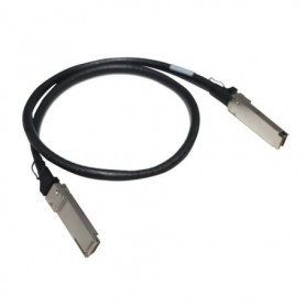 Ruckus 10G-SFPP-TWX-P-0301 10GBase direct attach cable - 10 ft