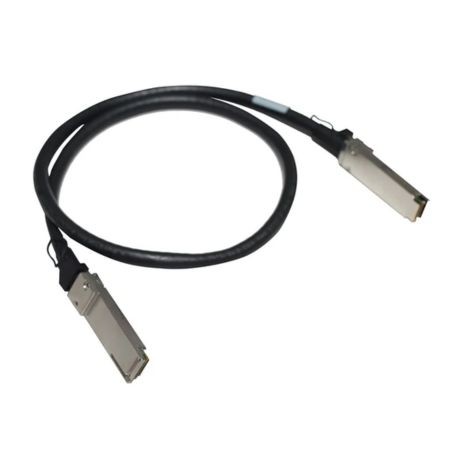 Ruckus 10G-SFPP-TWX-P-0301 10GBase direct attach cable - 10 ft