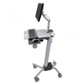 Ergotron 24-206-214 Neo-Flex LCD Computer Cart, Two-Tone Grey