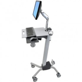 Ergotron 24-194-055 Neo-Flex Dual WideView WorkSpace, Two-Tone Grey