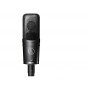 Audio-Technica AT4050 Multi-Pattern Condenser Microphone