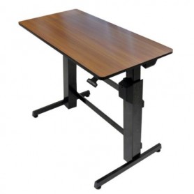 Ergotron 24-271-927 WorkFit D Sit Stand Desk Walnut