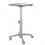 Ergotron 24-811-F13 Mobile Sit-Stand Desk Fusion Maple & Silver