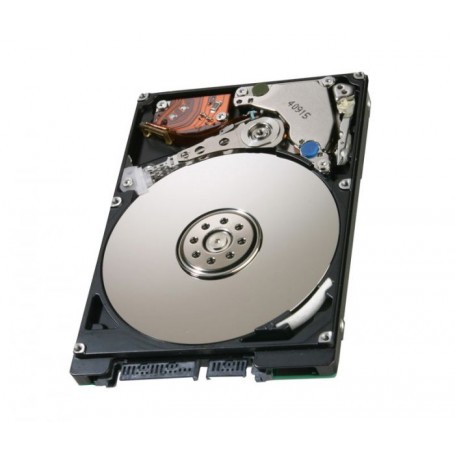 HP 300 GB, 10k RPM, 6GB/s, 32MB Cache, 3.5-inch SATA Hard Drive with IcePack Heatsink