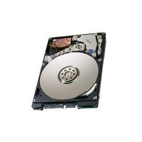 HP 508031-001 300 GB, 10k RPM, 6GB/s, 32MB Cache, 3.5-inch SATA Hard Drive with IcePack Heatsink