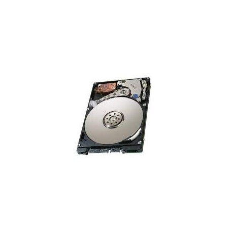 HP 508031-001 300 GB, 10k RPM, 6GB/s, 32MB Cache, 3.5-inch SATA Hard Drive with IcePack Heatsink