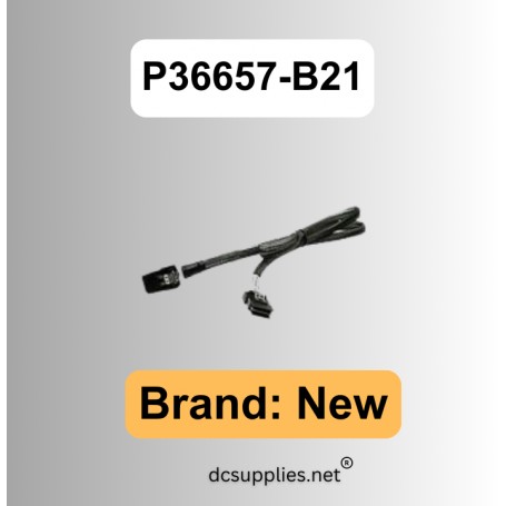HPE P36657-B21 DL36X GEN10+ 2SFF Tri-Mode Cable Kit