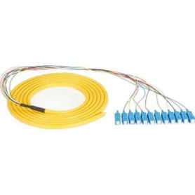 Black Box FOPT50S1-SC-12YL-3 3M OS1 Single-Mode Fiber Optic Pigtail 12-Strand SC Yellow