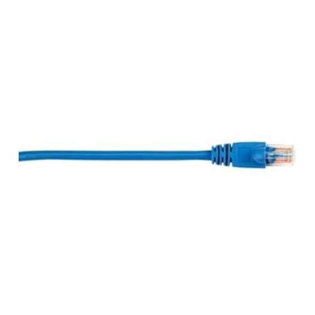Black Box CAT5EPC-015-BL-25PAK CAT5E Molded Boot Patch C Blue 15FT 25 Pack