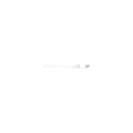 Black Box CAT6PC-001-WH-25PAK patch cable - 1 ft - white