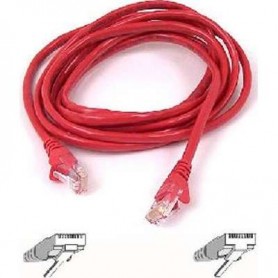 Belkin A3L980-02-RED-S Red 2ft Cat6 UTP Patch Cable - RJ-45 Male - RJ-45 Male
