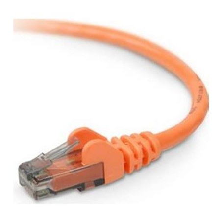Belkin A3L980-01-ORG-S CAT6 Patch Cable, Orange, Snagless, 1FT