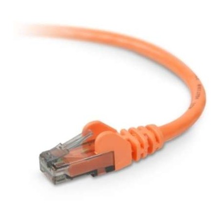 Belkin A3L980-08-ORG-S Cable CAT6 UTP RJ45M/M 8 Organizer Patch Snagless 01-Belkin Bag &Label