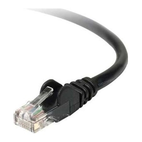 Belkin TAA980-50-BLK-S 50FT Cable TAA CAT6 Snagless-Patch RJ45 RJ45 Black