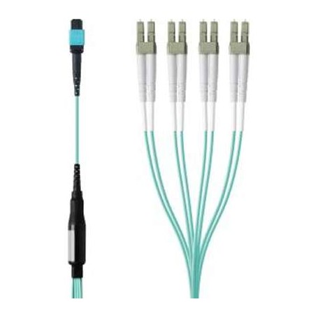 Belkin F2CF005-1M FBR PLMN OM3 12F MTP/4XDPLX LC 40GB 50/125 Aq 1M
