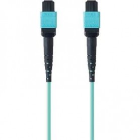 Belkin F2CF006-1M FBR PLMN OM3 12F MTP-F/F 40GB 50/125 3.0 Aqua 1M