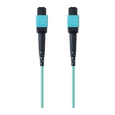 Belkin F2CF006-1M FBR PLMN OM3 12F MTP-F/F 40GB 50/125 3.0 Aqua 1M