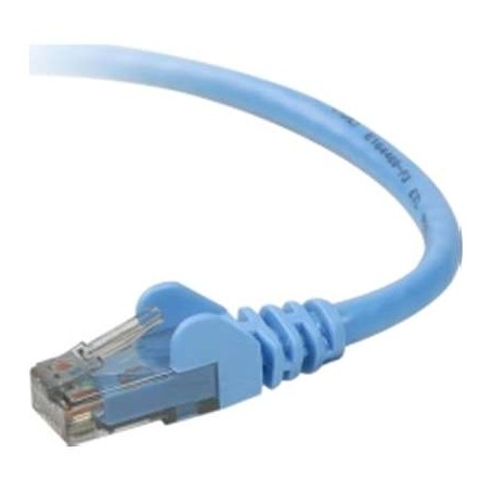 Belkin TAA980-25-BLU-S 25FT Cable TAA CAT6 Snagless-Patch RJ45 RJ45 Blue