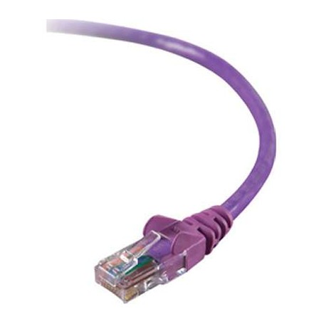 Belkin A3L791-12-PUR 10FT CAT5E Pur UTP RJ45 M/M Patch Cable
