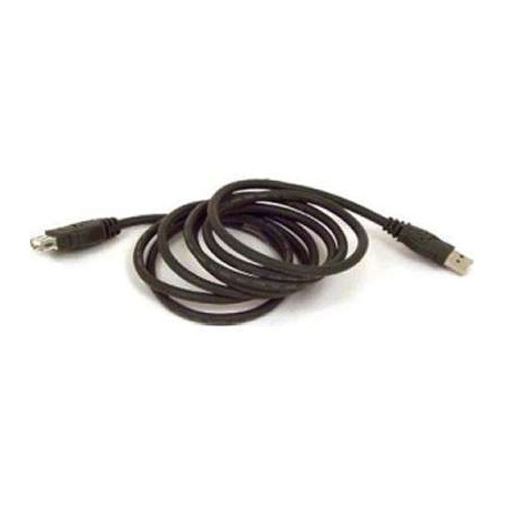 Belkin F3U134B10 10FT Cable Extension USB A/A-AM/F