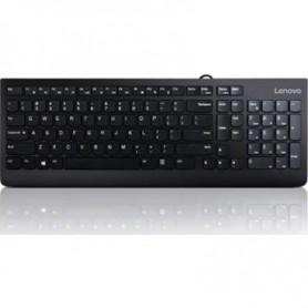 Lenovo GX30M39655 300 USB Keyboard - US English