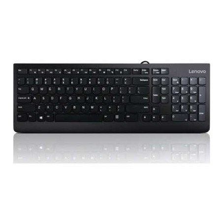 Lenovo GX30M39655 300 USB Keyboard - US English