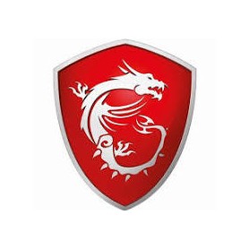 MSI (ARDT1Y) Ar-Dt-1y 1y Advanced Replacement Warranty