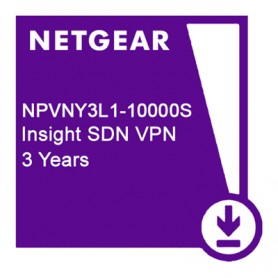 Netgear NPVNY3L1-10000S Insight Instant VPN Subscription, 3 Year License