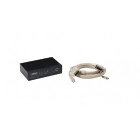 Black Box KV9612A-K ServSwitch DT DVI with Emulated USB Keyboard/Mouse Kit - KVM switch - 2 ports - TAA Compliant