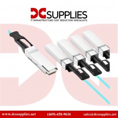 Ruckus E25G-SFP28-TWX-P-0301 25 Gbps SFP28 Twinax Direct Attach Cable
