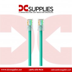 Belkin A3L980-01-GRN-S CAT6 Snagless Patch Cable/ RJ45M/RJ45M/ 1 Green