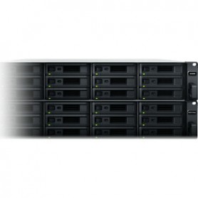 Synology SA3200D SAN/NAS Storage System - 1 x Intel Xeon D-1521 Quad-core