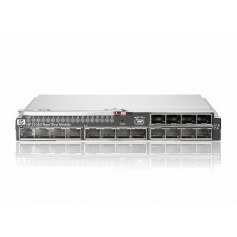 HPE 538113-B21 10GbE Ethernet Network Module