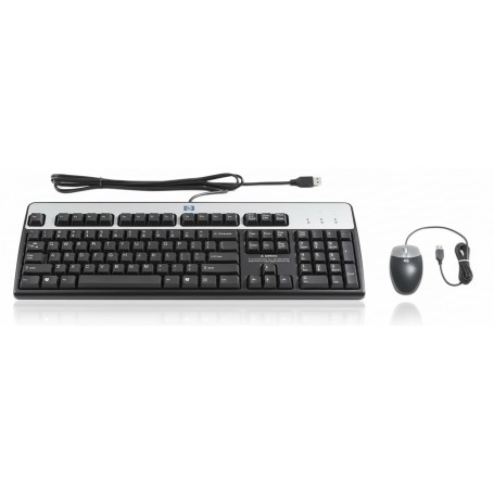 HPE 631341-B21 USB BFR-PVC US Keyboard/Mouse Kit