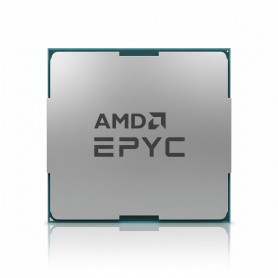 HPE P53702-B21 AMD EPYC 9124  3 GHz processor