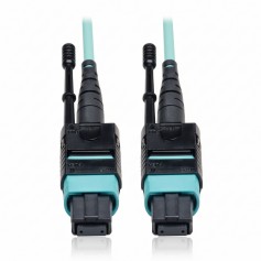 Eaton Tripp Lite N844-10M-12-P N844 40GbE MTP/MPO Cable