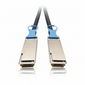 Eaton N282-20N-28-BK Tripp Lite 100GbE 0.5m DAC Cable