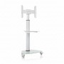 Eaton DMCS3770SG75W Tripp Lite Premier Rolling TV Cart