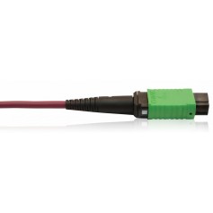 Eaton N846D-01M-16CMG 400G OM4 MTP/MPO Fiber Cable