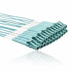 Eaton Tripp Lite N846D-01M-24CAQ 400G OM4 Breakout Fiber optic cable