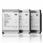 Synology HAS5300-12T internal hard drive 3.5" 12000 GB SAS