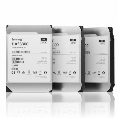 Synology HAS5300-12T internal hard drive 3.5" 12000 GB SAS